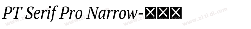 PT Serif Pro Narrow字体转换